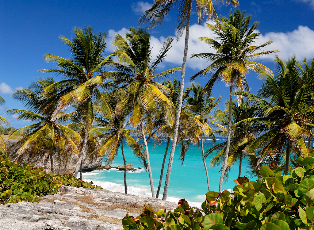 Sejur Barbados 2025, 7 nopti